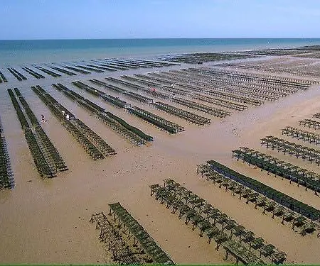 Pouchkine Duplex Au 1er Etage Centre Jardin Amenage Commun Proche Des Plages Du Debarquement Parking Gratuit A Proximite *